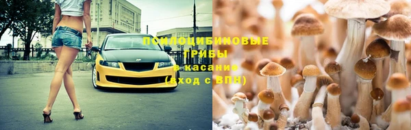 дурь Майский