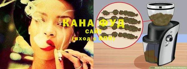 индика Магас