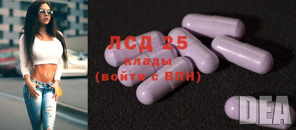 индика Магас
