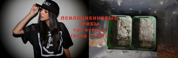 сатива Магадан