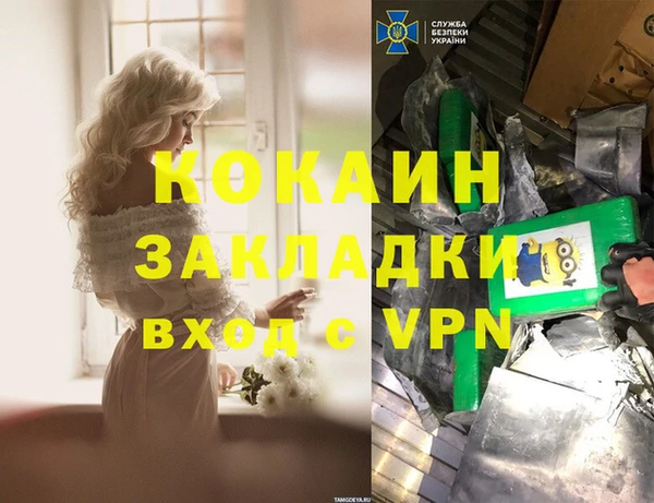 индика Магас