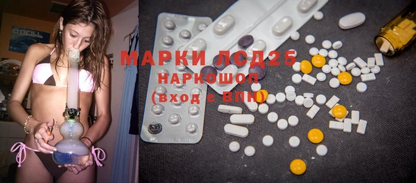 индика Магас