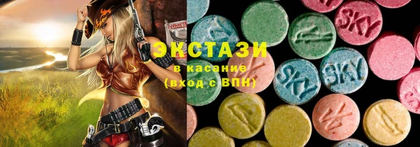 индика Магас