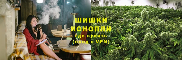 индика Магас