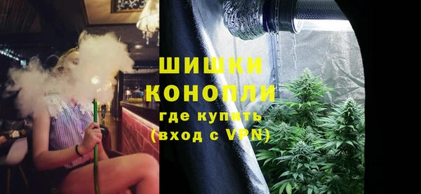индика Магас